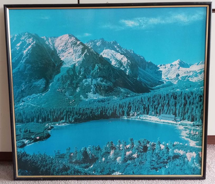 dwa obrazy (duże) 62cm x 69,5cm