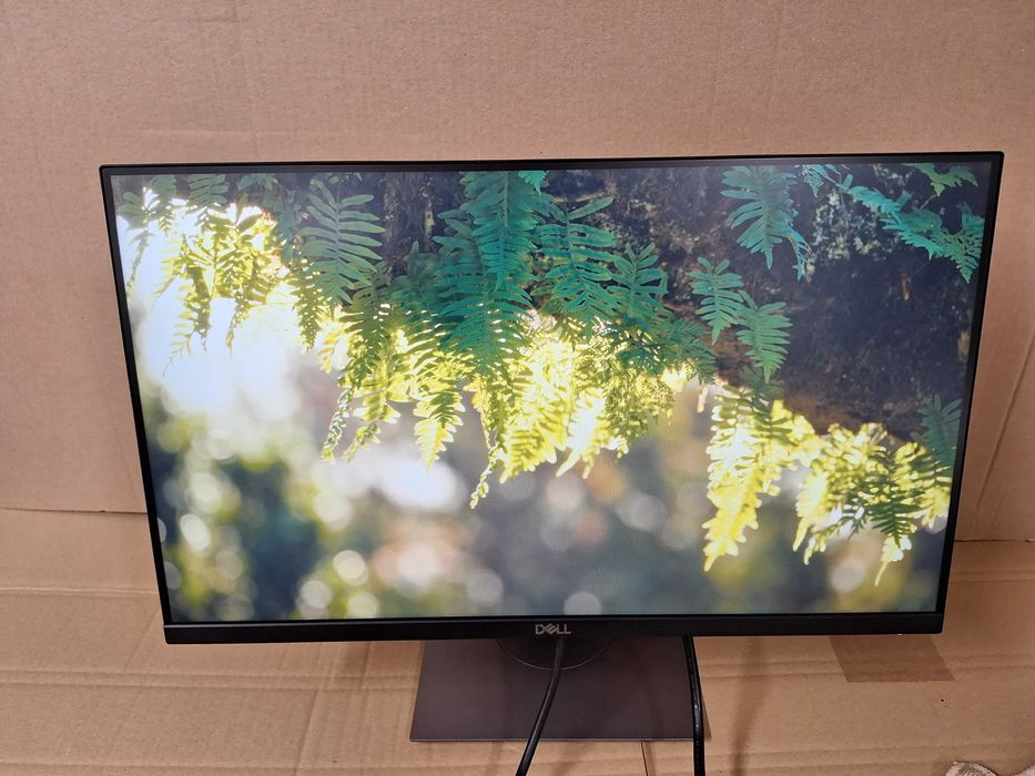 Dell P2219h monitor 21,5" FullHD, bezramkowy, IPS, LED