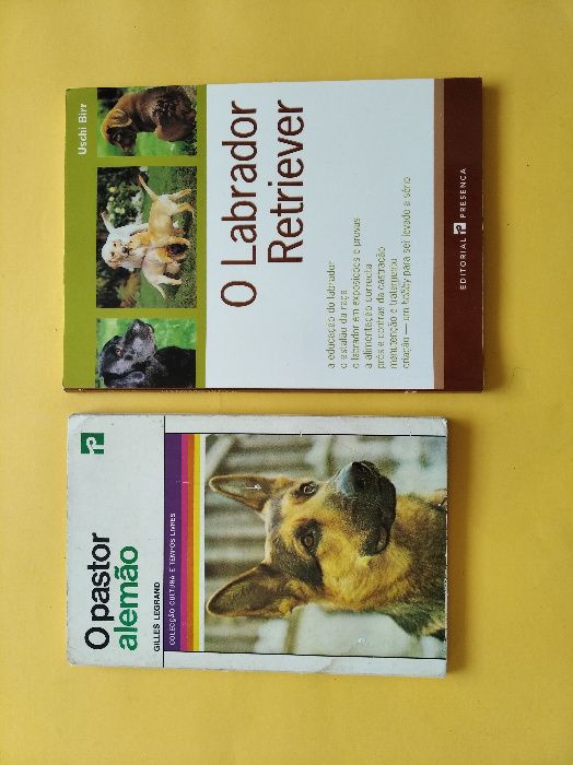 Muitos livros sobre cães