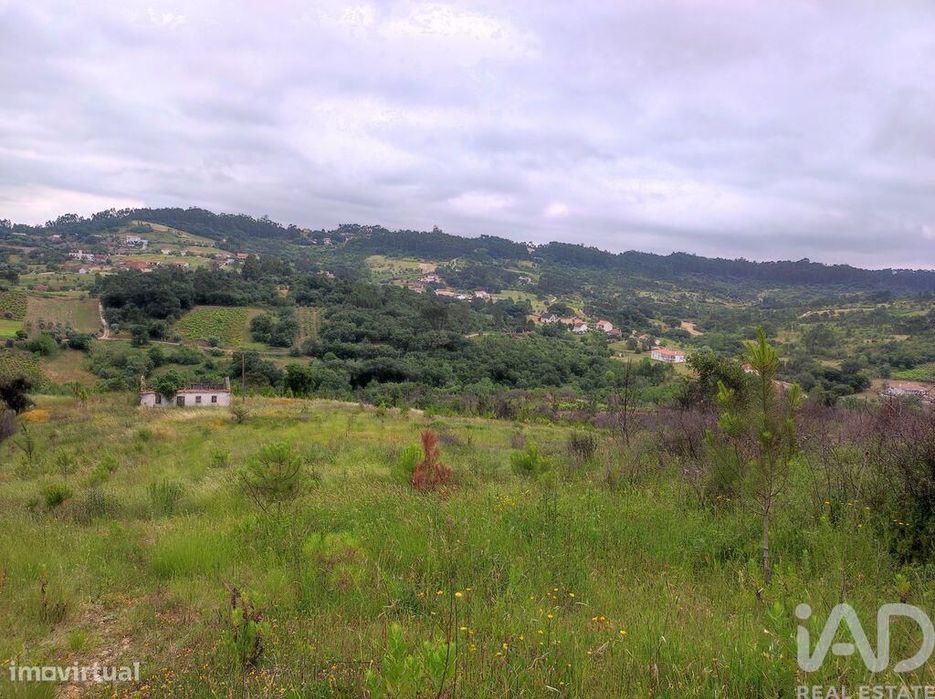 Terreno para construção em Colmeias e Memória de 116,00 m2