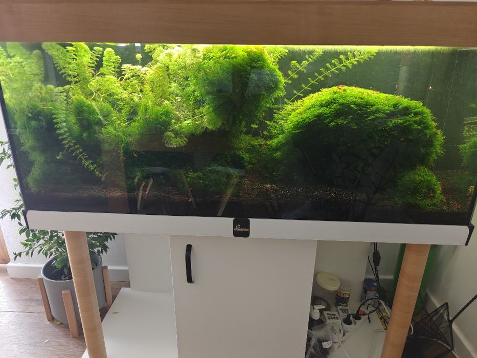 Akwarium 300l + filtr Fluval f4 + butla CO2
