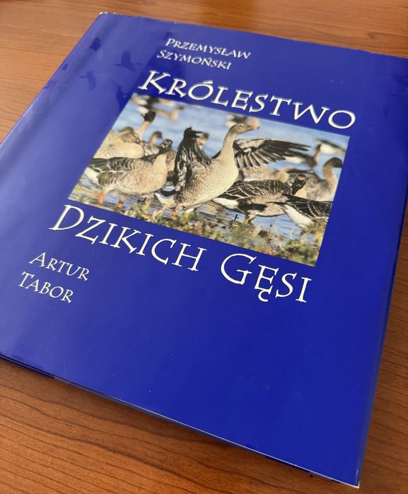 Album „Królestwo Dzikich Gęsi” - wydanie I