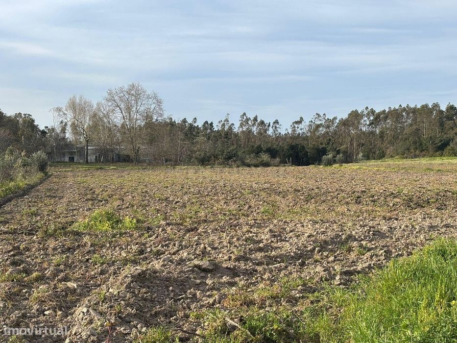 Moradia T3 em Louriçal