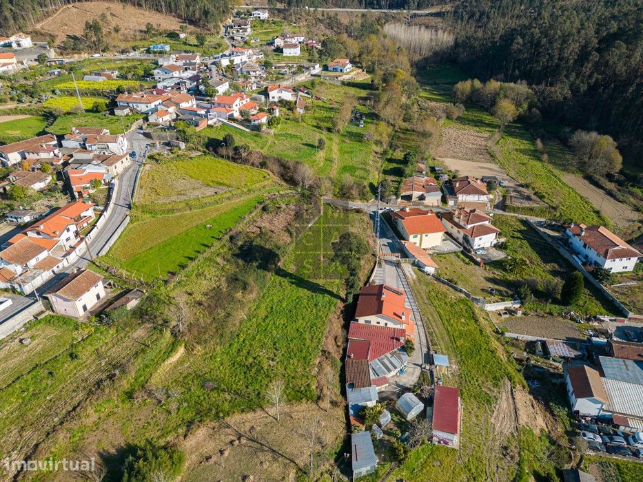 Terreno  Venda em Pinheiro da Bemposta, Travanca e Palmaz,Oliveira de