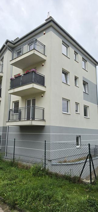 Zdjęcie 8