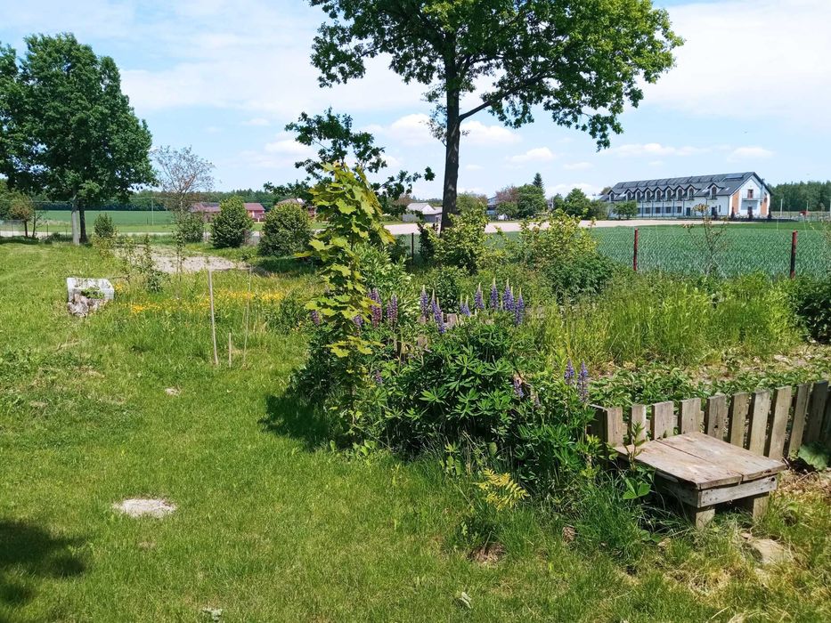 Piękna działka siedliskowa