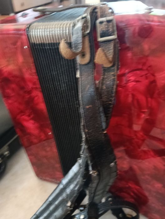 Akordeon Weltmeister