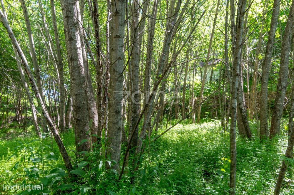 Terreno Rústico com Potencial Turístico