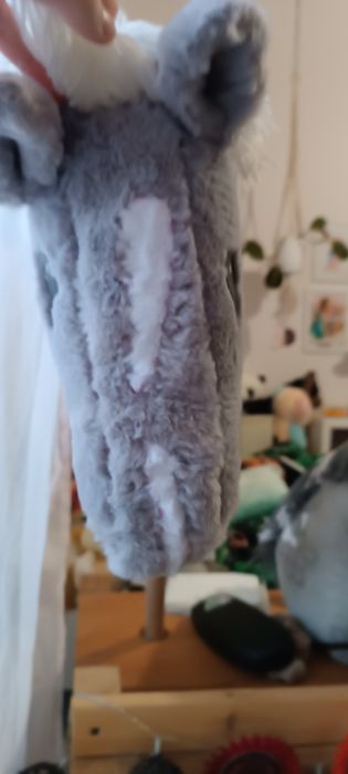 Hobby horse ujerzdżeniowy