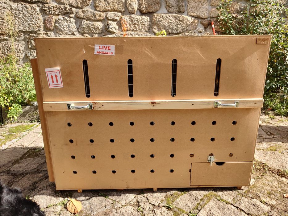 Caixa de transporte para Rottweiler CR82 IATA