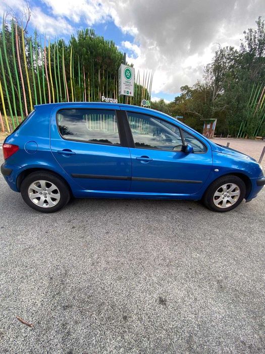 Peugeot 307 Xs Premium 1.4 Gasoline