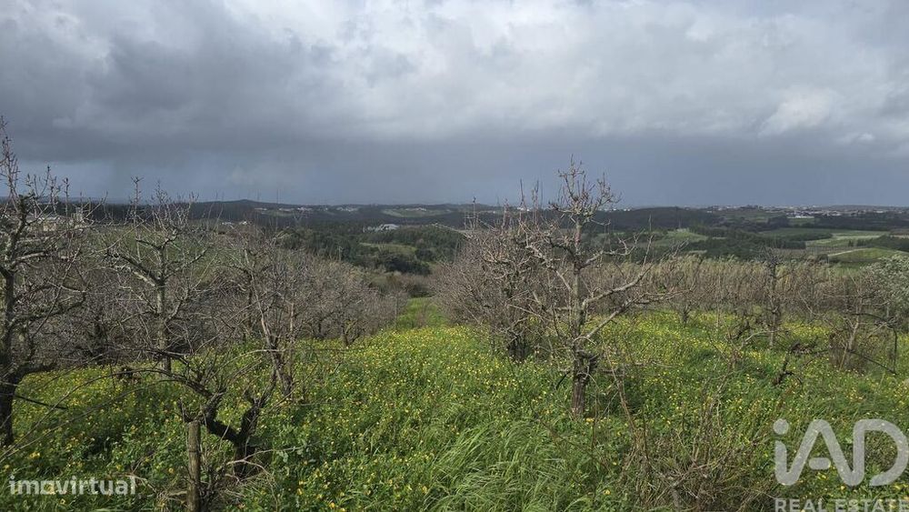 Terreno em Vilar
