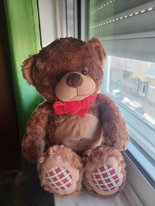 Urso de Peluche Novo