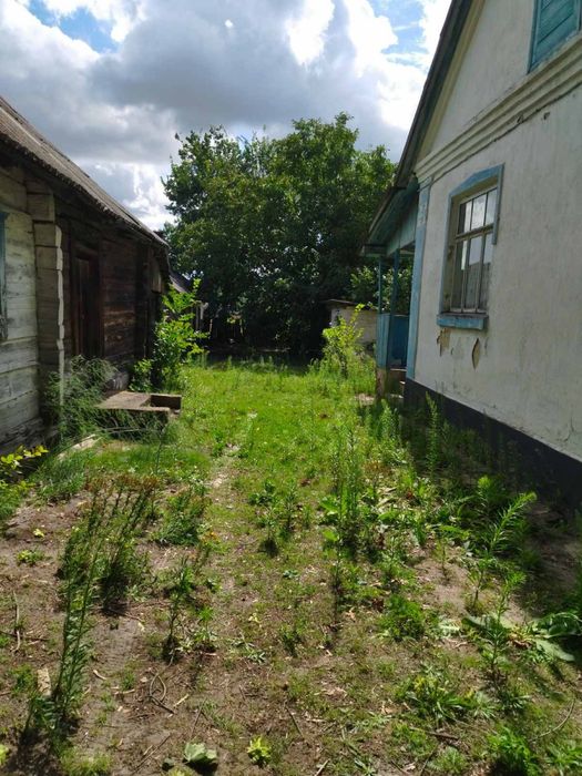 Будинок в селі Кураш