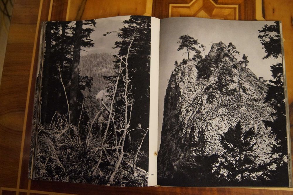 Pieniny Edward Hartwig