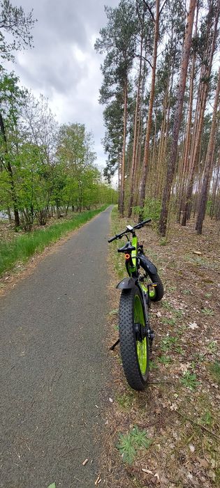 Rower elektryczny  48V 12.8Ah fatbike