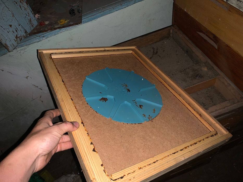 Магазинные корпуса на 9 рамок полностью укомплектованы рамками