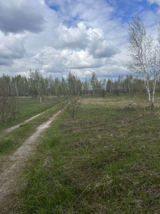 Продам ділянку в с Нові Петрівці – pohled 4