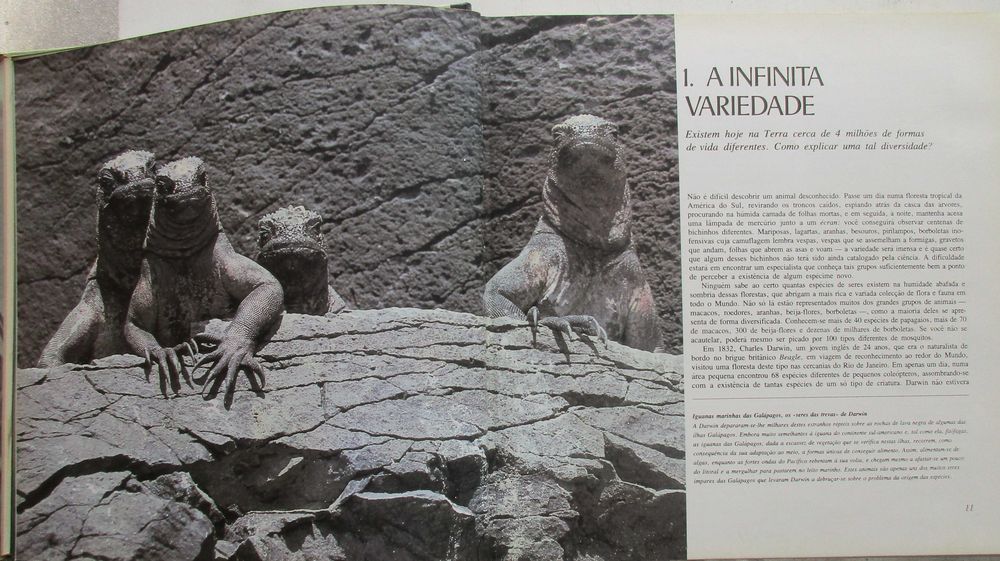 Richard Attenborough - - - A Vida na Terra - - - - - Enciclopédia