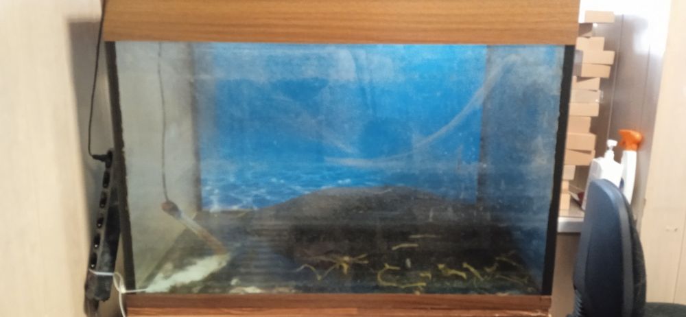 Акваріум на 300 л