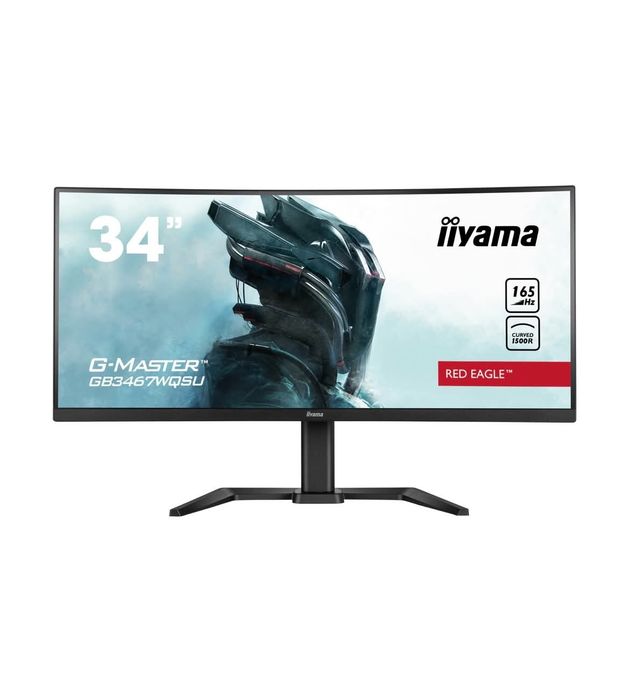 Monitor iiyama G-MASTER