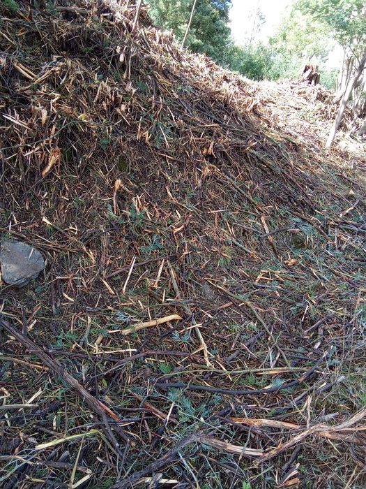 Limpeza de terrenos agrícolas.