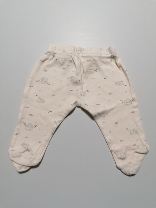 Pack 4 Meias-Calças de tema "Ouriço-cacheiro"