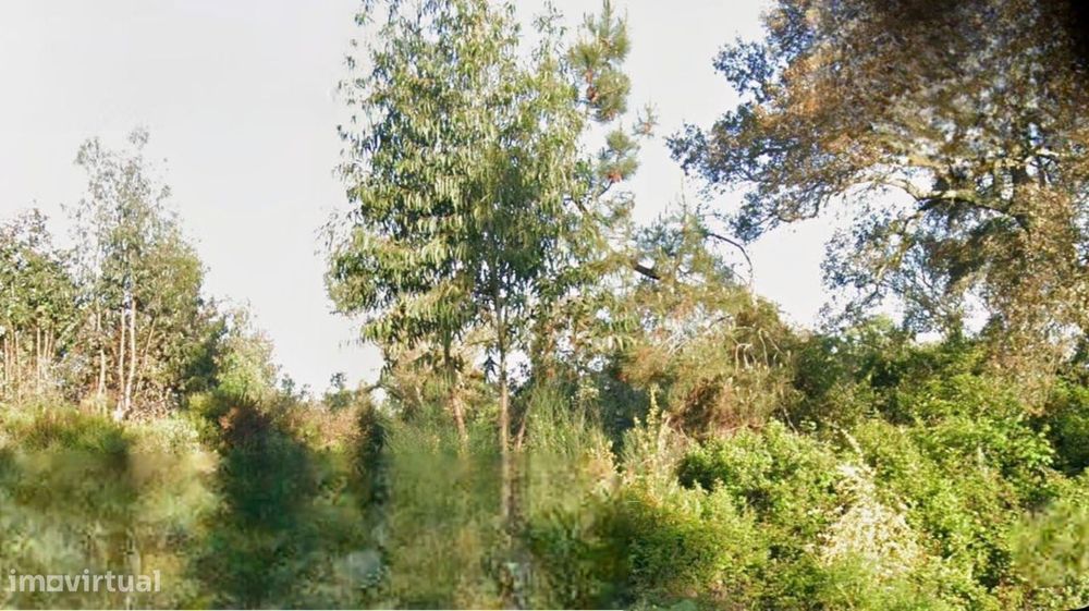 Terreno Rustico 21 360M2 - Santarem