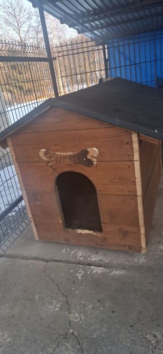 Buda dla psa- stan bardzo dobry