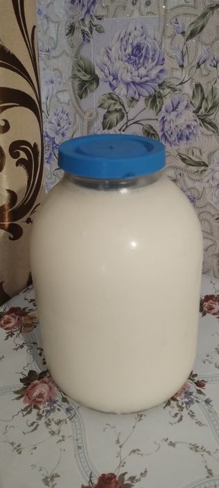 Домашнее козье молоко, творог и сыворотка — свежие и натуральные