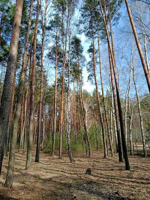 Гарна дача - в гарні руки!