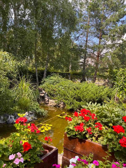 Будинок та бізнес (кафе) в одному місці с. Вільхи