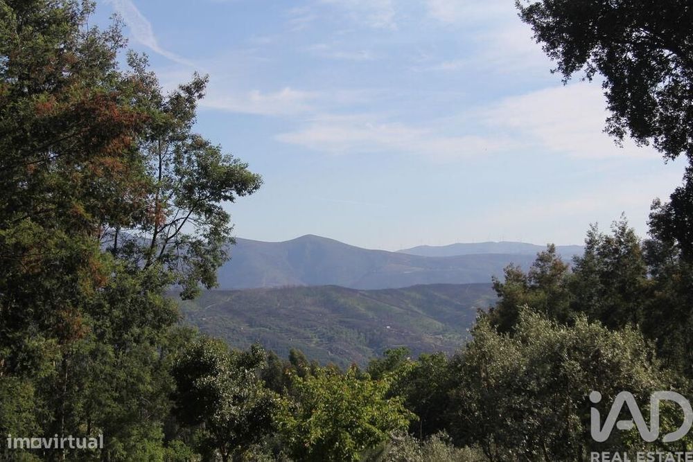 Agricultural Land in Oliveira do Hospital and São Paio de Gramaços