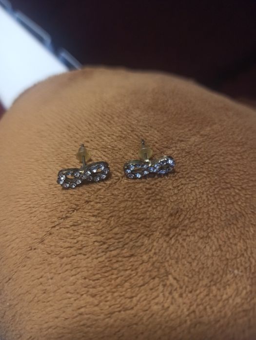 Кульчики гвоздики. Безкінечності срібло