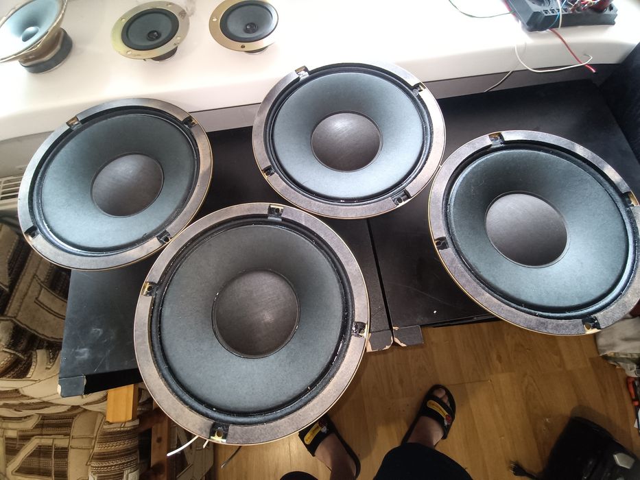 Zestaw glosników tonsil