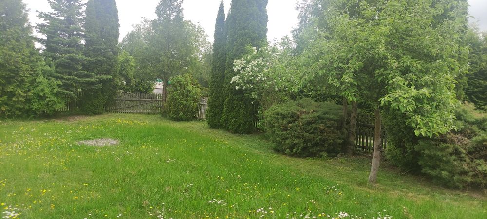 Działka ROD Niezapominajka w Staświnach