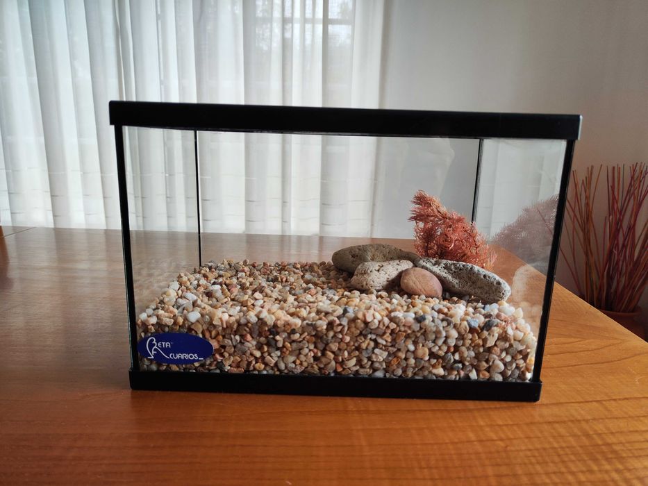 Aquario de 11L com decorações