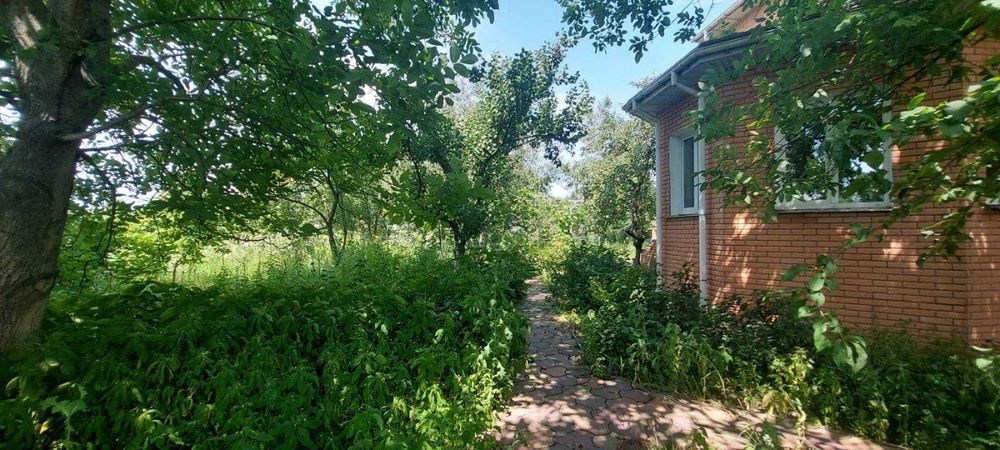 Велика Димерка, комфортний будинок 197 кв.м