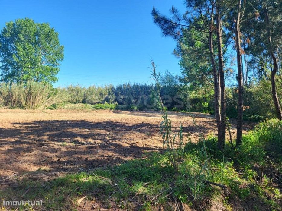 Terreno para Agricultura com 6420m2 no Valado dos Frades- Nazaré — Maiorga, Leiria