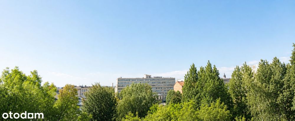 Piękne, słoneczne mieszkanie w kamienicy z widokiem na zieleń - Widok 6