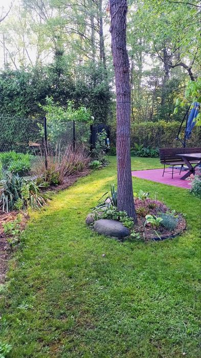 Piękna działka budowlana 2100 m² | Domek | Staw | Media | Anielew