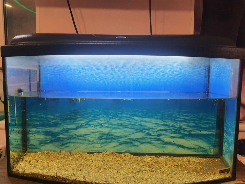 Продаю Аквариум  120литров
