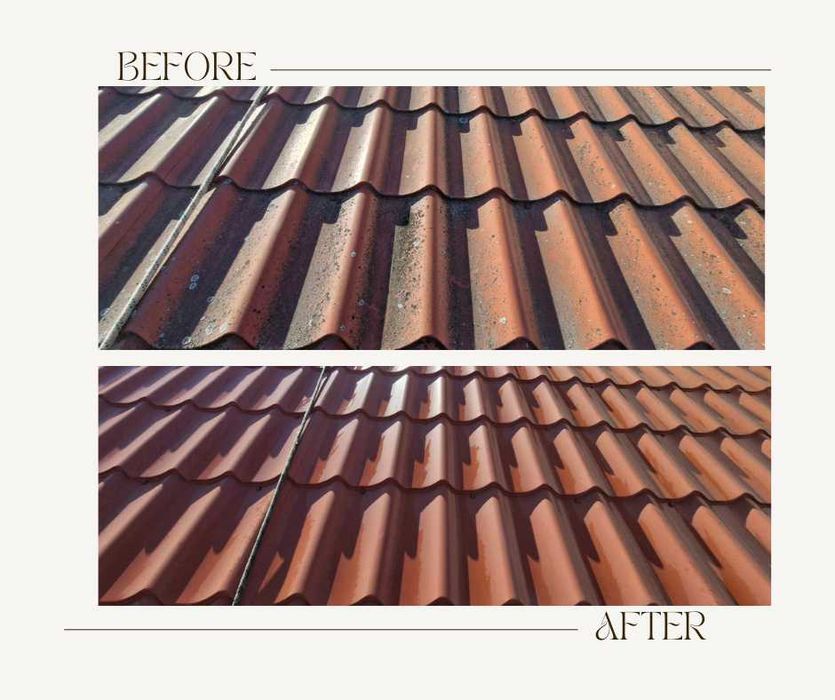 Mycie i malowanie dachu