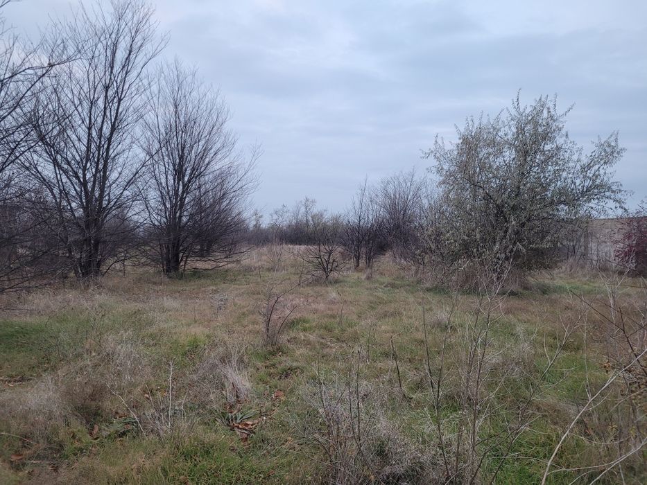 Шикарный участок в Латовке по хорошей цене!