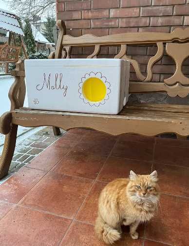 Будиночок, домік для котиків