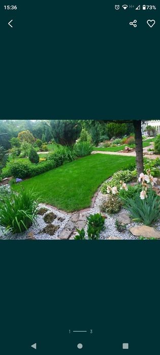 Usługi ogrodnicze budowlane,czyszczenie działek, cięcie Tui, remonty