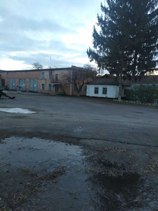 Оренда виробничої бази м. Христинівка, Черкаська обл.