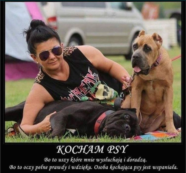 Pies z Profesjonalnej Hodowli ZKwP/ FCI