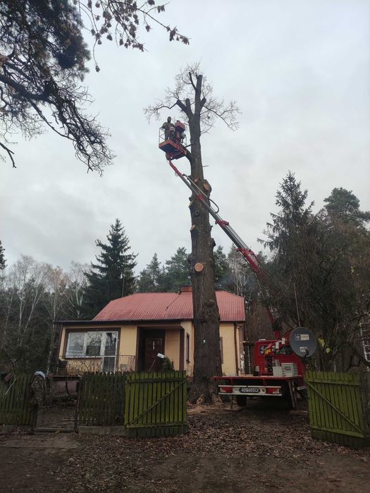 Podnośnik koszowy wynajem/usługi, odśnieżanie dachów