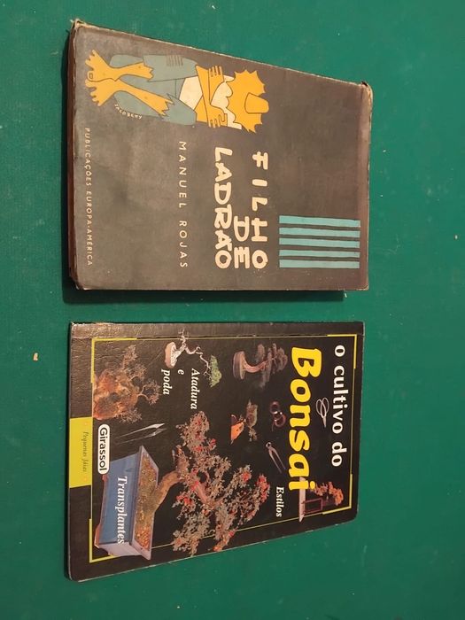 Livros Autores Estrangeiros - Letras J a L